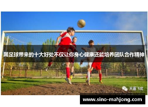 踢足球带来的十大好处不仅让你身心健康还能培养团队合作精神 踢足球带来的十大好处不仅让你身心健康还能培养团队合作精神